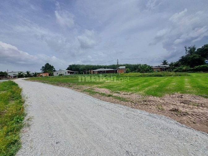 86m2 đất ở đô thị phường Gò Dầu. Dân đông. 2xx tr 