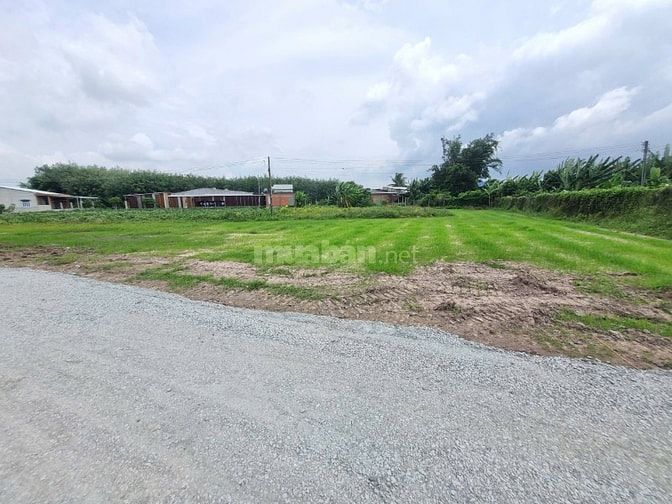 86m2 đất ở đô thị phường Gò Dầu. Dân đông. 2xx tr 