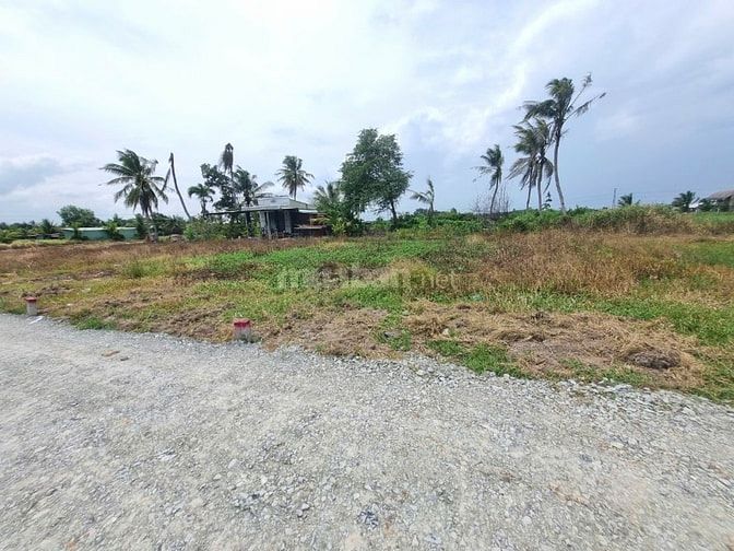 86m2 đất ở đô thị phường Gò Dầu. Dân đông. 2xx tr 