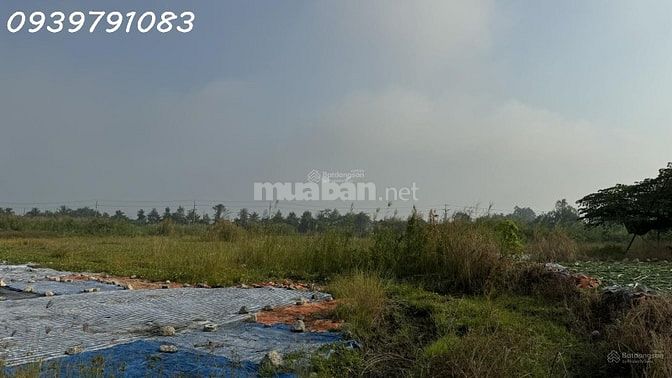 CẦN BÁN 2,14 HA ĐẤT TẠI CỤM CÔNG NGHIỆP MỸ HIỆP, ĐỒNG THÁP 