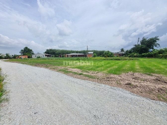 86m2 đất ở đô thị phường Gò Dầu. Dân đông. 2xx tr 