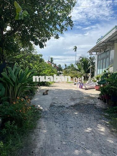 Cần tiên bán gấp lô đất full thổ cư 5x27m, 540 triệu Sang tên ngay