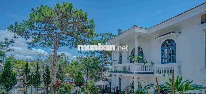 villa đà lạt cần tuyển 2 buồng phòng
