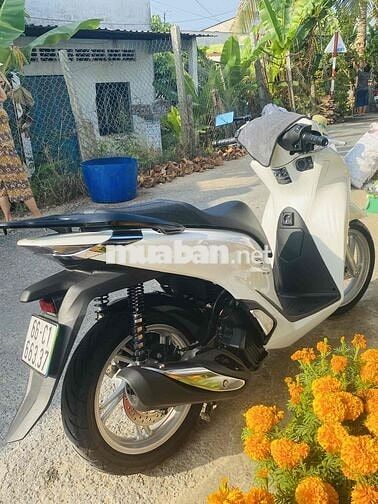 Honda SH125i Trắng