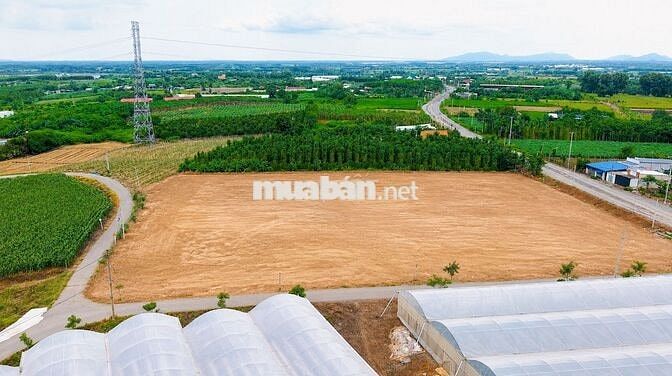 BÁN ĐẤT MẶT TIỀN ĐƯỜNG 997 - SHR - FULL THỔ CƯ - CHỈ 300 TRIỆU