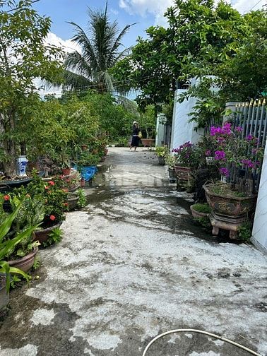 Bán 875,6 m2 đất Xuân Ninh - Vạn Hưng, Khánh Hòa. Có 60m2 đất ở.