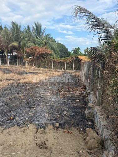 Bán 875,6 m2 đất Xuân Ninh - Vạn Hưng, Khánh Hòa. Có 60m2 đất ở.