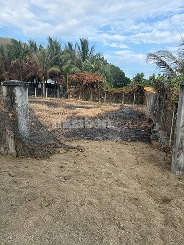 Bán 875,6 m2 đất Xuân Ninh - Vạn Hưng, Khánh Hòa. Có 60m2 đất ở.