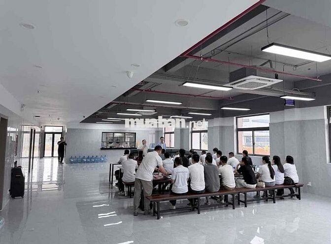tuyển dụng công ty Bontai