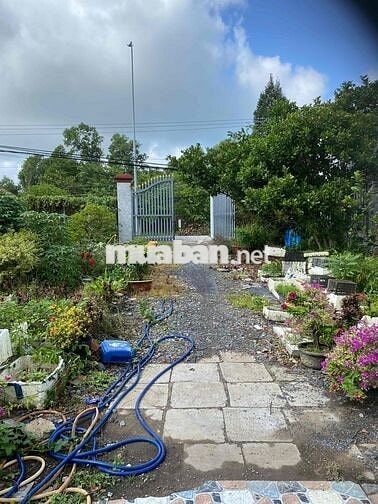 ĐẤT MẶT TIỀN ĐƯỜNG DT 835 B PHƯỚC LÝ , CẦN GIUỘC 496 M2 ĐẸP