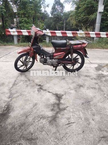 Honda Dream Đỏ Xăng