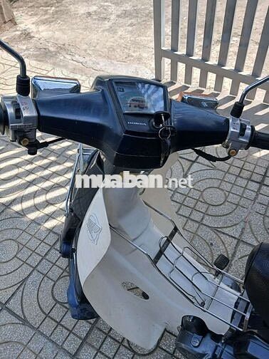 Honda Super Cub 70cc Xanh đen