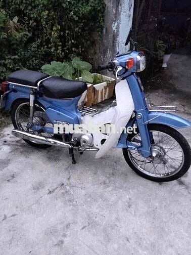 Honda Cup 82 50cc Xanh