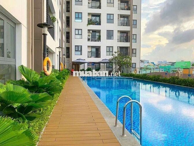Cho thuê Shophouse Asiana Capella chung cư cao cấp