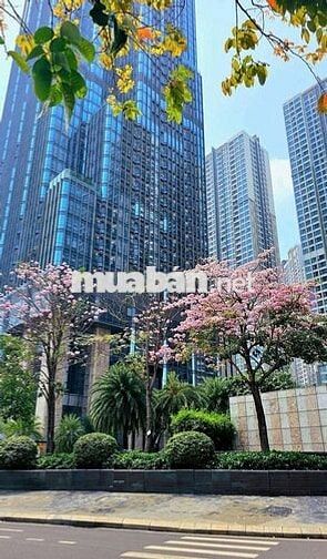 Bán Căn hộ đẹp 79.1m2, 2PN, 2WC, Landmark 4, Vinhomes Central Park