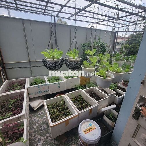 Nhà mặt tiền, đường số 2, 4x15m, 63m², 3 Tầng, 4 pn, Giá 9 tỷ hơn TL 