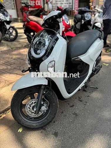 Honda Scoopy 2026 Trắng Indonesia Mới 100%