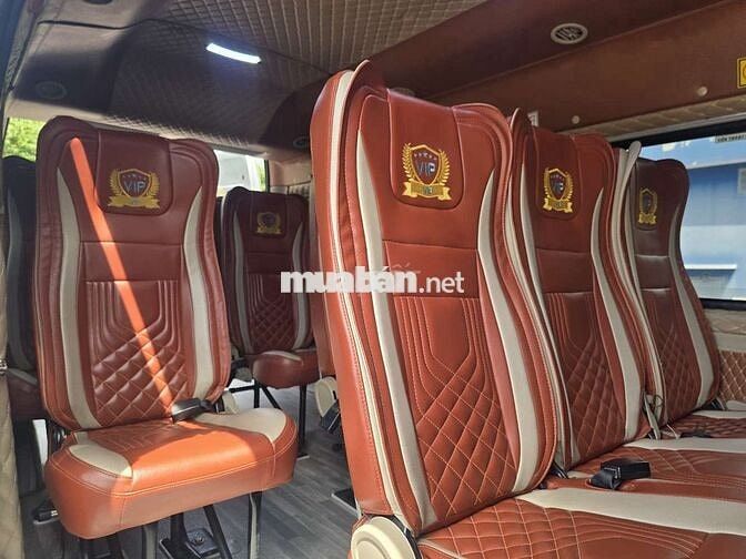 TRANSIT SVP 2019 GHẦM CAM MÁY RIN CÓ BẢO HÀNH