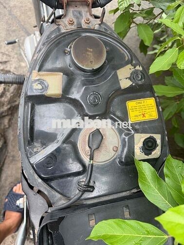 SYM Angel Nâu 80cc Nữ