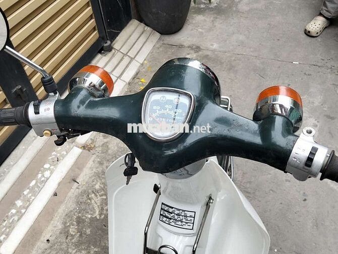 Honda Cup 50cc Xanh Trắng