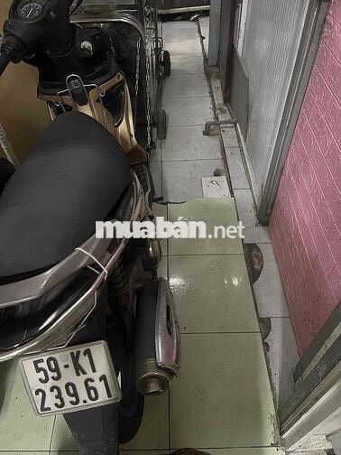 Suzuki Hayate Vàng đồng như hình chụp trên