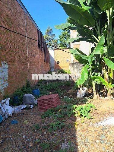 Bán đất tại hẻm Nguyễn Thái Học, 4,2 tỷ, 140 m2, nhiều tiện ích, đẹp