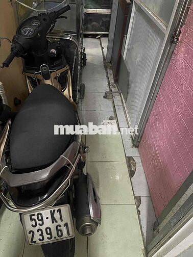 Suzuki Hayate Vàng đồng như hình chụp trên