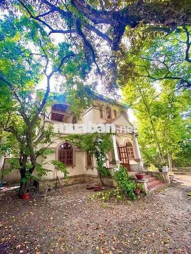 🏠 Nhà sân vườn 1000m2,phù hợp kinh doanh, 3phòng, đường Lê Thị Kim 🏠