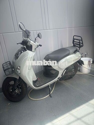 Honda Scoopy 2025 Xám xi măng