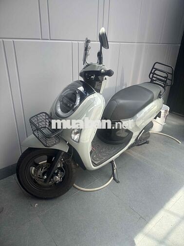 Honda Scoopy 2025 Xám xi măng