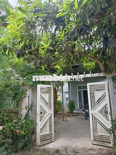 Bán nhà vườn KQH Dương Nổ Cồn, phường Dương Nổ, TP Huế giá chỉ 2,5 tỷ 