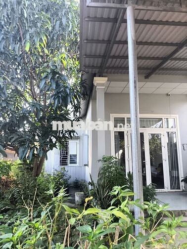 Bán nhà vườn KQH Dương Nổ Cồn, phường Dương Nổ, TP Huế giá chỉ 2,5 tỷ 