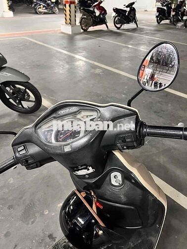 Honda LEAD Kem/trắng ngà màu Nâu
