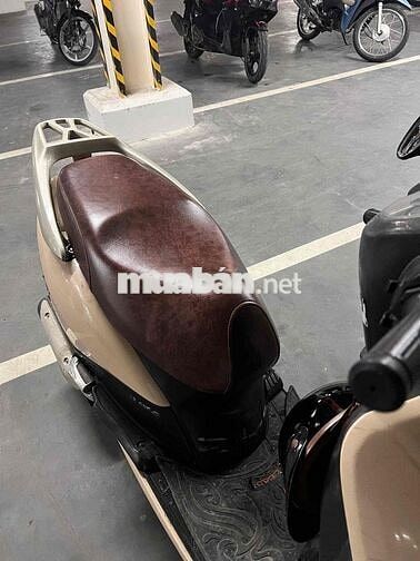 Honda LEAD Kem/trắng ngà màu Nâu