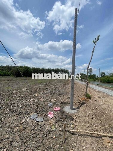 *** 550 M2 -ĐẤT TÂN PHƯỚC3- CLN CHỜ LÀM ĐƯỜNG XONG LÊN THỔ