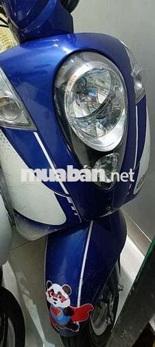 SYM Elite 50 Xanh trắng Xăng