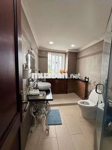 CHO THUÊ BIỆT THỰ MINI BÌNH TÂN