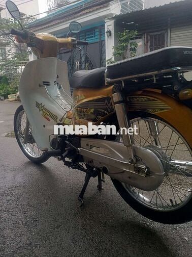 Honda Cub 50cc 2019 Vàng