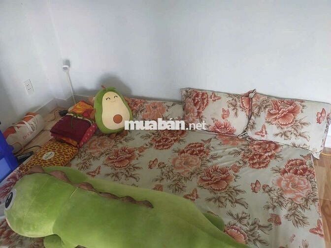 Cho thuê nhà nguyên căn ở Mỹ Hạnh, Long An