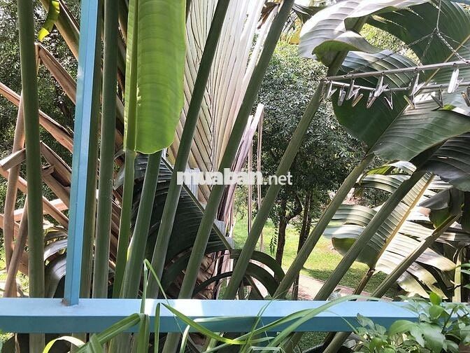 Cho thuê nhà nguyên căn 1 trệt 2 lầu ngay công viên gia định giá 10tr