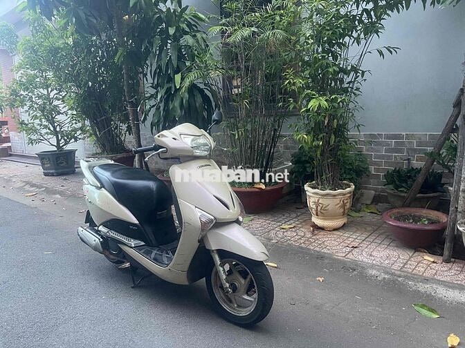 Honda Lead Fi 110 máy êm bao đi biển 72