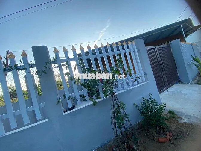 Đất quy chủ k264 Hoàng Văn Thái đã có điện nước
