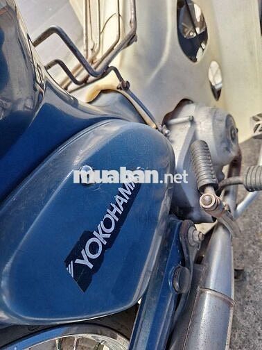 Honda Cub b Xanh Trắng Đã sử dụng