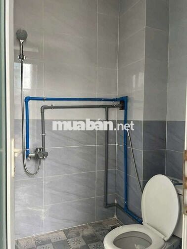 Cho thuê nhà mái thái 4pn nhánh dx006 Phú Mỹ gần kcn đại đăng 