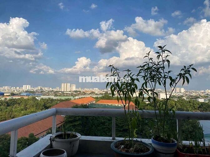 GIÁ QUÁ RẺ,,CHỦ GỞI,BÁN C/C LÊ THÀNH TÂN TAO BÌNH TÂN,CĂN ĐẸP 34,7 M ,