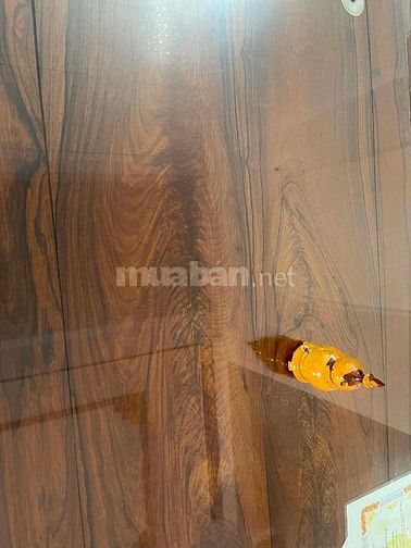Chuyển nhà cần bán bộ salon cẩm lai