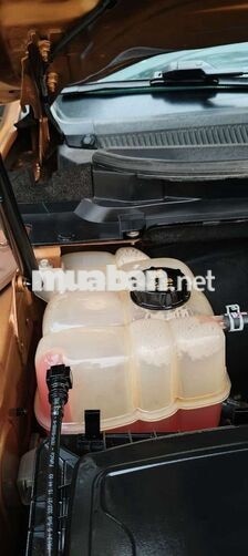 Ford Ranger WT 2022 2.0 Full Tự động Vàng đồng