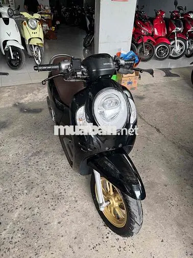 Honda Scoopy 2021 Đen bóng 19000 km