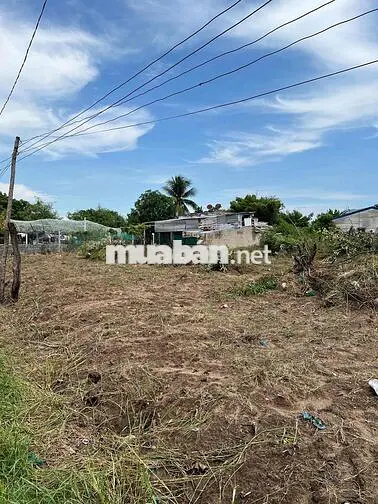 đất Khánh Hải , gần biển Ninh Chử