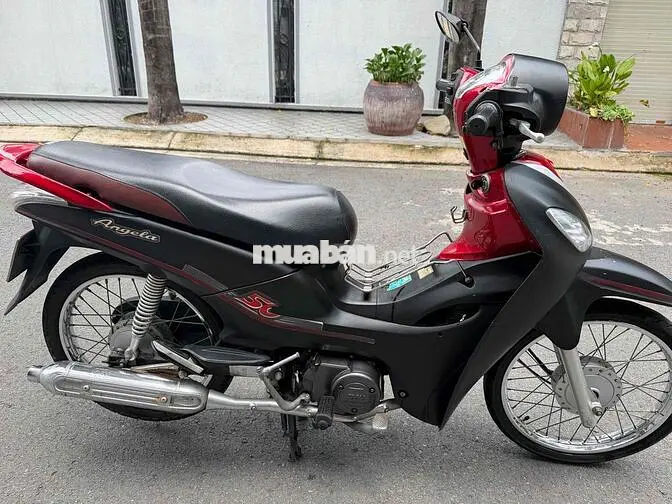 SYM Angela 50cc 2020 Bs Cà Mau